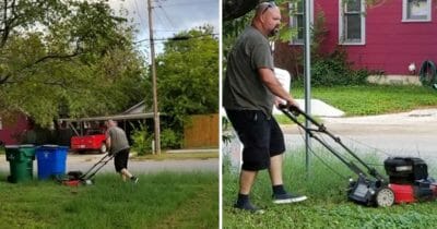 klippa gräs, skilda, föräldrar