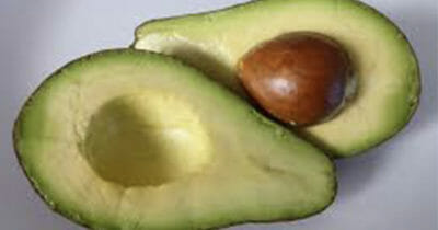 avokado