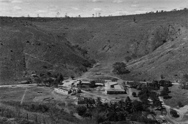 minas gerais, botanik, Sebastião Ribeiro Salgado