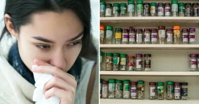 förkylning, lindra förkylning, örter, oregano, timjan, salvia