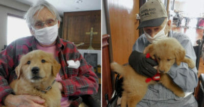 Hundvalp, äldreboende