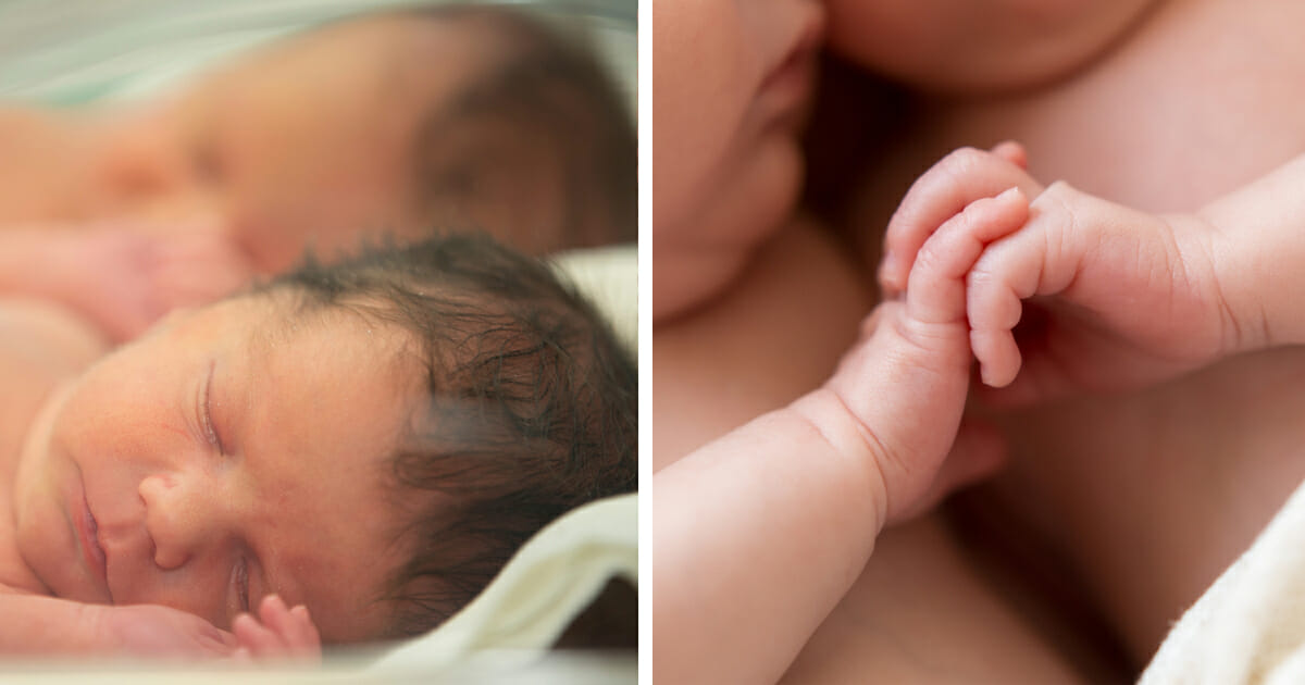 otis och chester puff