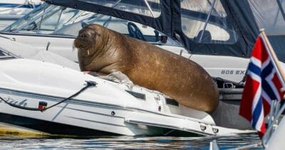 Foto: Tor Erik Schrøder / NTB / TT