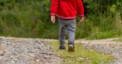 Pojke, skogen, vilse, barn, promenad, försvunnen