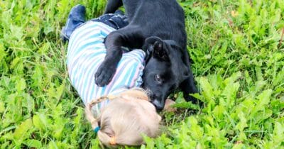 Genrebild: Flickan och hunden på bilden är inte desamma som artikeln handlar om. Foto: Shutterstock