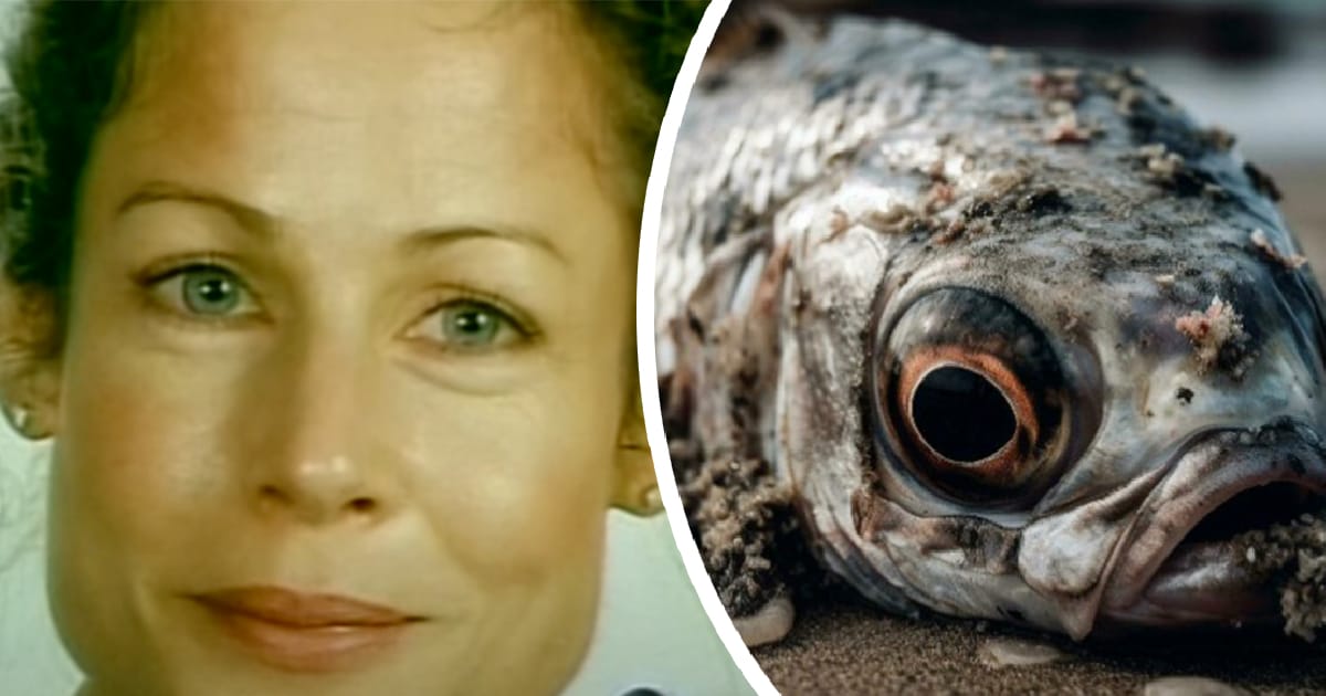 Teacher on the verge of suicide until she finally understands why she